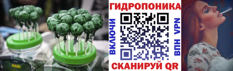сколько стоит  Темников  Cannafood конопля 