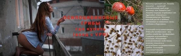 стаф Абдулино