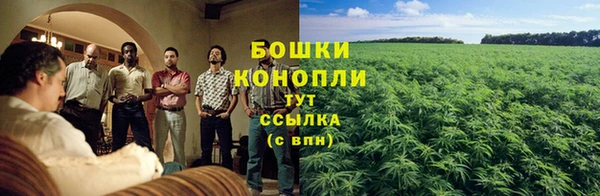 СК Абаза