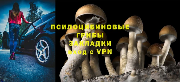 мдпв Абинск