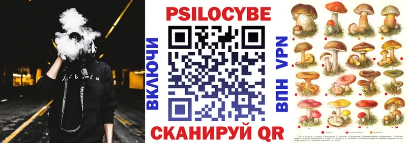 как найти   shop телеграм  Псилоцибиновые грибы Psilocybine cubensis  Темников 