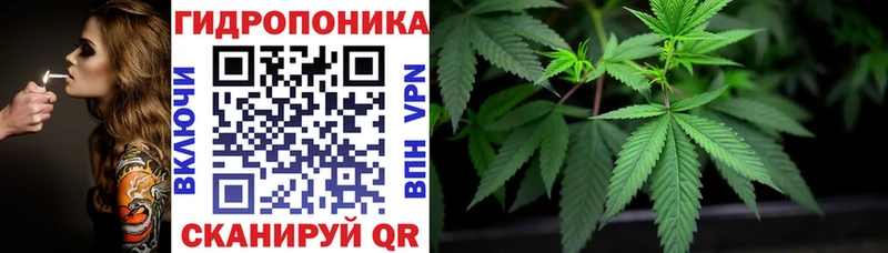 blacksprut ССЫЛКА  где купить наркоту  Темников  Каннабис тримм 